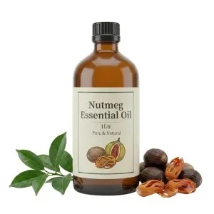 100% Pure Nutmeg Essential Oil steam distilled from Myristica fragrans seeds for aromatherapy, skincare, massage, and wellness.