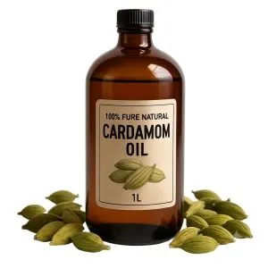 Cardamom Oil 100% Pure Natural Steam Distilled Essential Oil
